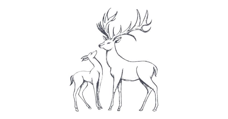 Deerview Self Catering Logo