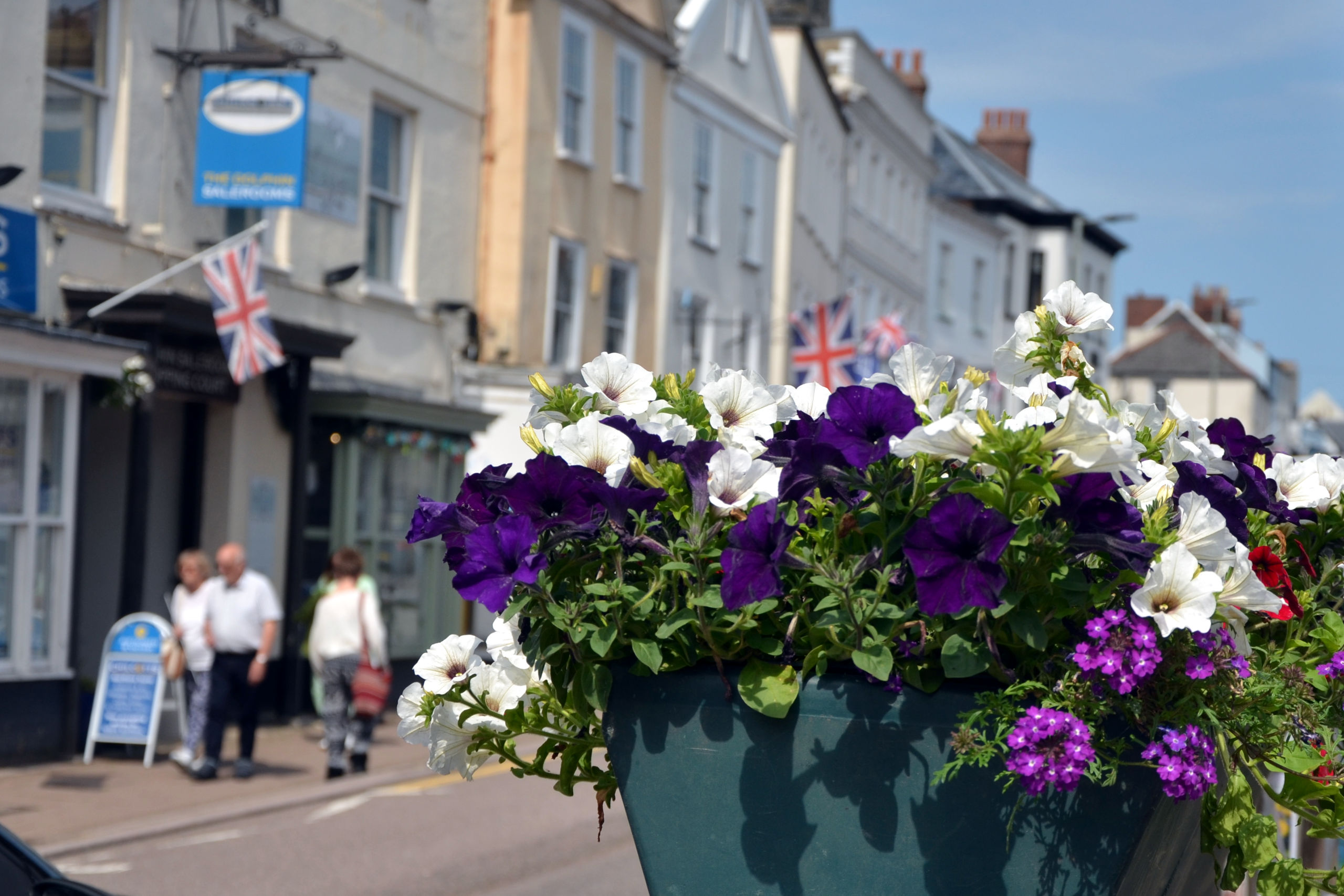 Hbn flowers street view